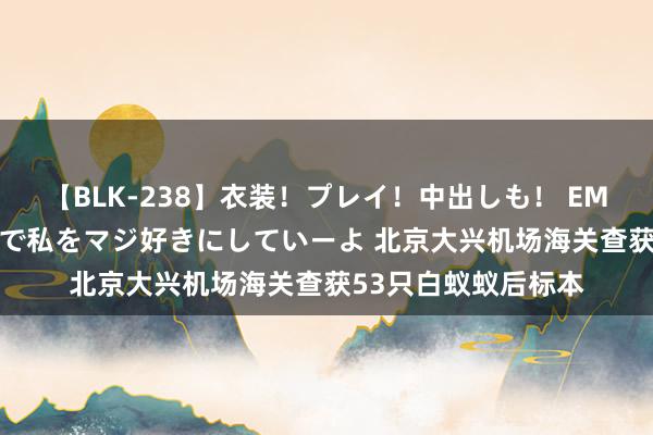 【BLK-238】衣装！プレイ！中出しも！ EMIRIのつぶやき指令で私をマジ好きにしていーよ 北京大兴机场海关查获53只白蚁蚁后标本