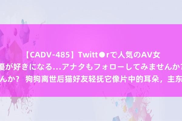 【CADV-485】Twitt●rで人気のAV女優 SNSでますますAV女優が好きになる…アナタもフォローしてみませんか？ 狗狗离世后猫好友轻抚它像片中的耳朵，主东谈主大哭：随同前同样