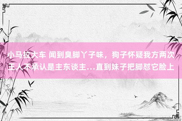 小马拉大车 闻到臭脚丫子味，狗子怀疑我方两次王人不承认是主东谈主…直到妹子把脚怼它脸上