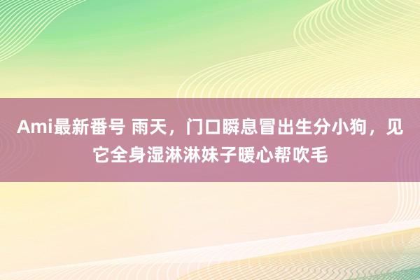 Ami最新番号 雨天，门口瞬息冒出生分小狗，见它全身湿淋淋妹子暖心帮吹毛