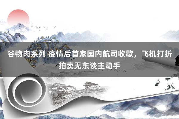 谷物肉系列 疫情后首家国内航司收歇，飞机打折拍卖无东谈主动手