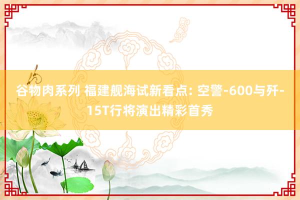 谷物肉系列 福建舰海试新看点: 空警-600与歼-15T行将演出精彩首秀