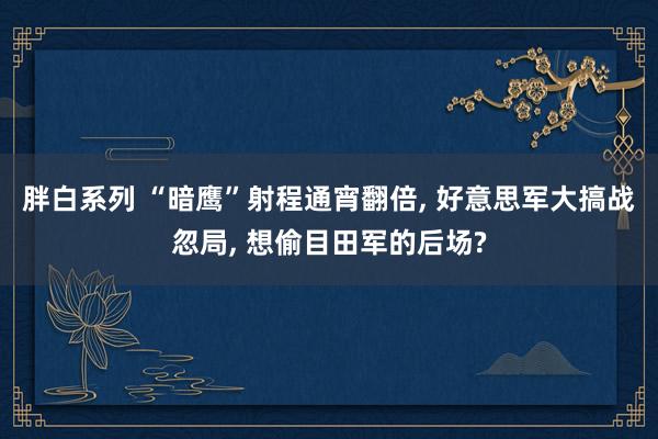 胖白系列 “暗鹰”射程通宵翻倍， 好意思军大搞战忽局， 想偷目田军的后场?