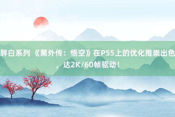 胖白系列 《黑外传：悟空》在PS5上的优化推崇出色，达2K/60帧驱动！