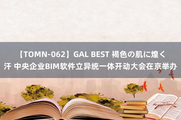 【TOMN-062】GAL BEST 褐色の肌に煌く汗 中央企业BIM软件立异统一体开动大会在京举办