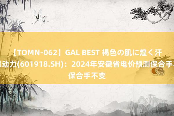 【TOMN-062】GAL BEST 褐色の肌に煌く汗 新集动力(601918.SH)：2024年安徽省电价预测保合手不变