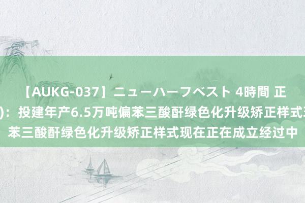 【AUKG-037】ニューハーフベスト 4時間 正丹股份(300641.SZ)：投建年产6.5万吨偏苯三酸酐绿色化升级矫正样式现在正在成立经过中