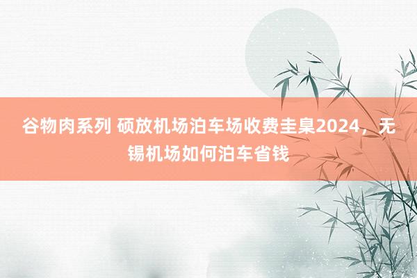 谷物肉系列 硕放机场泊车场收费圭臬2024，无锡机场如何泊车省钱