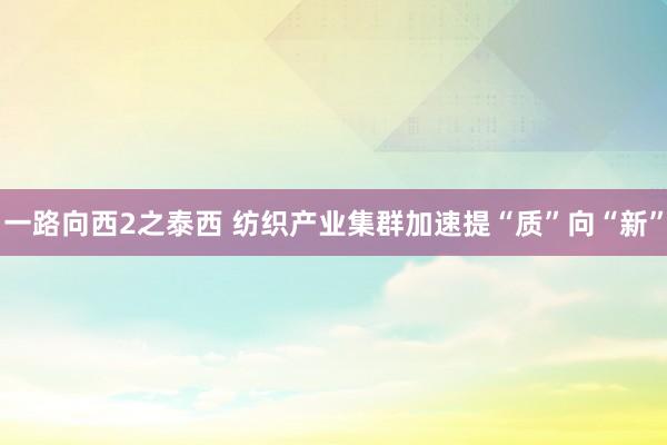 一路向西2之泰西 纺织产业集群加速提“质”向“新”