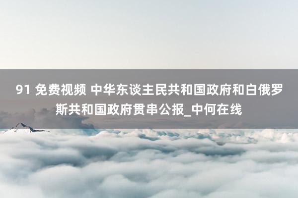 91 免费视频 中华东谈主民共和国政府和白俄罗斯共和国政府贯串公报_中何在线