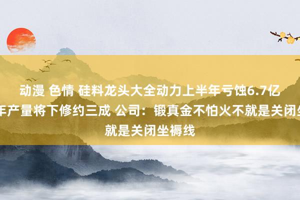 动漫 色情 硅料龙头大全动力上半年亏蚀6.7亿元 全年产量将下修约三成 公司：锻真金不怕火不就是关闭坐褥线