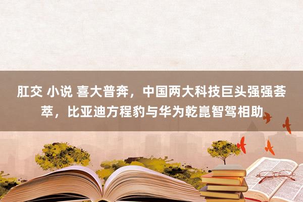 肛交 小说 喜大普奔，中国两大科技巨头强强荟萃，比亚迪方程豹与华为乾崑智驾相助