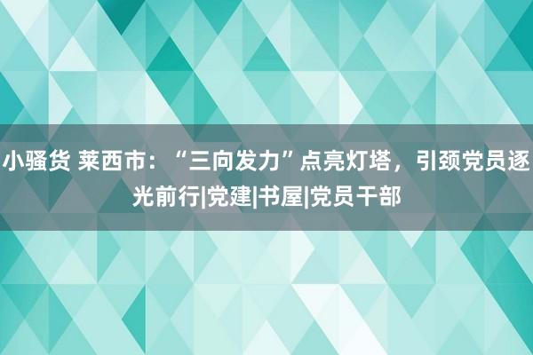 小骚货 莱西市：“三向发力”点亮灯塔，引颈党员逐光前行|党建|书屋|党员干部