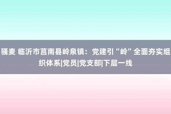 骚麦 临沂市莒南县岭泉镇：党建引“岭”全面夯实组织体系|党员|党支部|下层一线