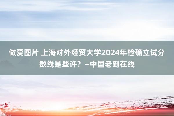 做爱图片 上海对外经贸大学2024年检确立试分数线是些许？—中国老到在线