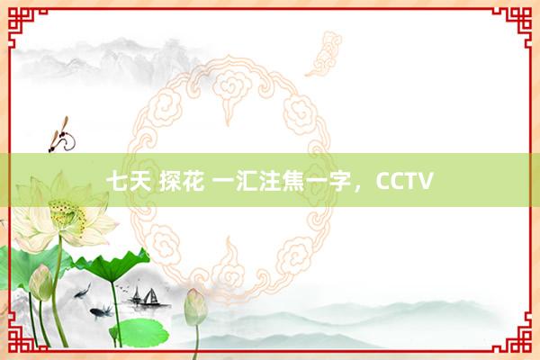 七天 探花 一汇注焦一字，CCTV