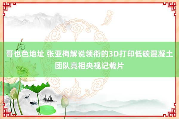 哥也色地址 张亚梅解说领衔的3D打印低碳混凝土团队亮相央视记载片